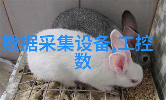 冷凝燃气锅炉的作用