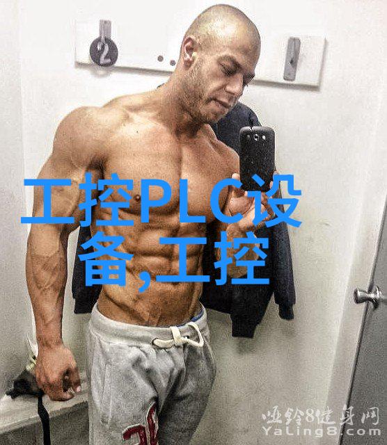 费希尔POSI-SEAL A41高性能蝶阀 气动调节阀薄膜式