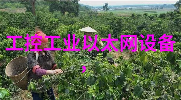 智能行人安全检测系统