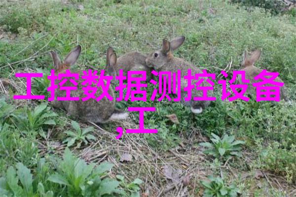 RBR 单通道微型溶解氧记录仪